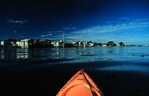 Kayak in Monterey Bay - Risky but Worth It