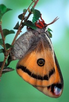 July 2014 Photo Contest 2nd Place Prize Winner