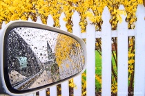 June 2015 Photo Contest 2nd Place Prize Winner