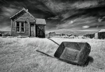 February 2016 Photo Contest 2nd Place Prize Winner