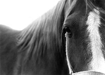 January 2003 Photo Contest 2nd Place Prize Winner