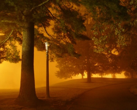 Photo Contest 1st Place Prize Winner