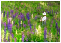 July 2004 Photo Contest 2nd Place Prize Winner