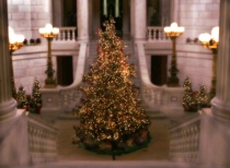 December 2004 Photo Contest 2nd Place Prize Winner