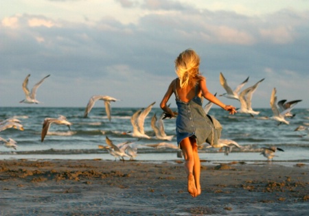 Photo Contest 1st Place Prize Winner