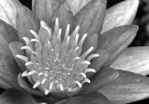August 2004 Photo Contest 2nd Place Prize Winner