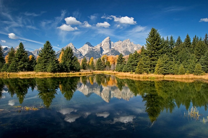 Photography Contest Grand Prize Winner - WONDERLAND