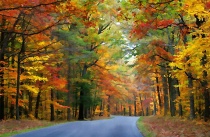 November 2005 Photo Contest 2nd Place Prize Winner