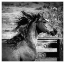 November 2005 Photo Contest 2nd Place Prize Winner