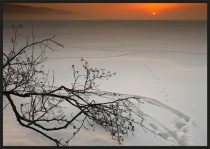 February 2006 Photo Contest 2nd Place Prize Winner