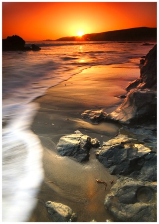 Photo Contest 1st Place Prize Winner