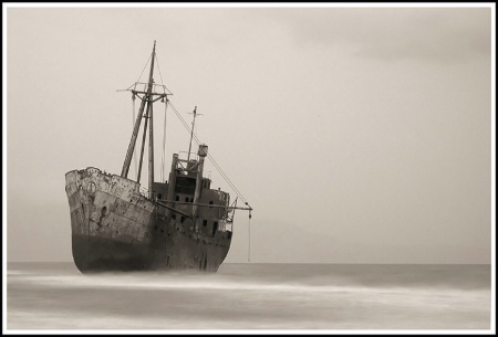 Photo Contest 1st Place Prize Winner