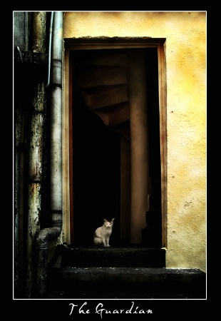 Photo Contest 1st Place Prize Winner