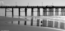 December 2006 Photo Contest 2nd Place Prize Winner