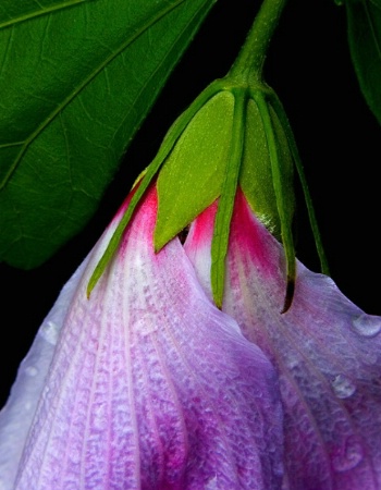 Photo Contest 1st Place Prize Winner
