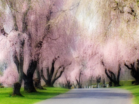 Photo Contest 1st Place Prize Winner