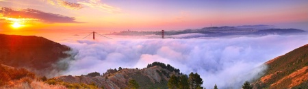 Photo Contest 1st Place Prize Winner