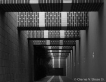 March 2017 Photo Contest 2nd Place Prize Winner