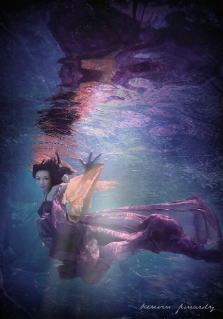Photo Contest 1st Place Prize Winner