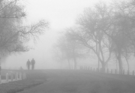 Photo Contest 1st Place Prize Winner