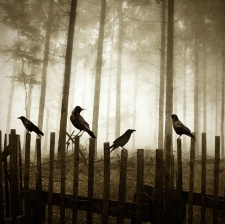 Photo Contest 1st Place Prize Winner