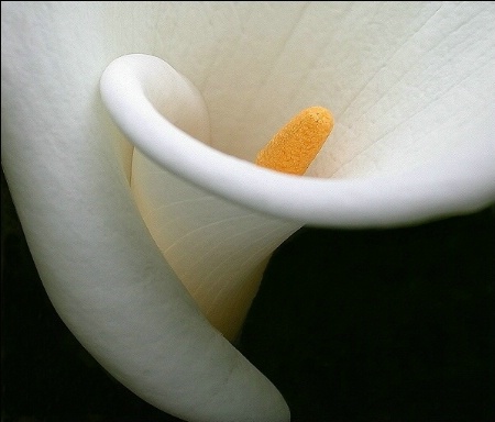 Photo Contest 1st Place Prize Winner