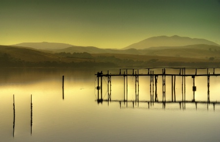 Photo Contest 1st Place Prize Winner