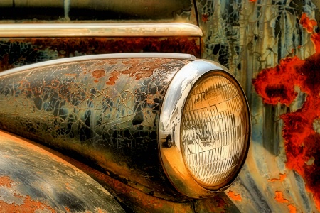 Photo Contest 1st Place Prize Winner