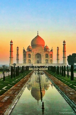 Photo Contest 1st Place Prize Winner