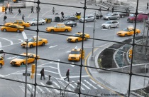 November 2018 Photo Contest 2nd Place Prize Winner