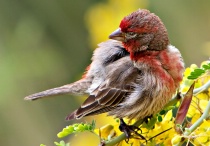 March 2011 Photo Contest 2nd Place Prize Winner