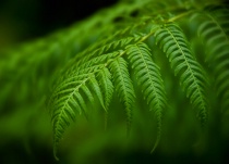 August 2011 Photo Contest 2nd Place Prize Winner
