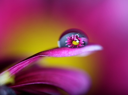 Photo Contest 1st Place Prize Winner