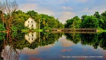 August 2009 Photo Contest 2nd Place Prize Winner