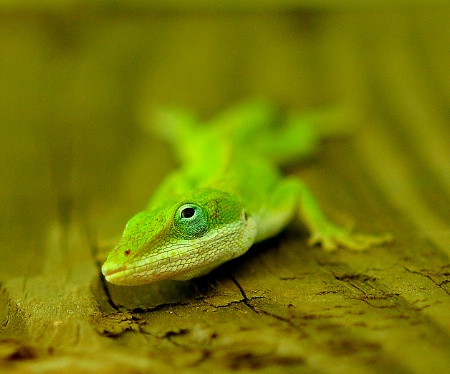 Photo Contest 1st Place Prize Winner