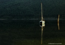 April 2013 Photo Contest 2nd Place Prize Winner