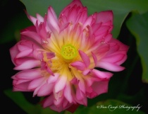 September 2009 Photo Contest 2nd Place Prize Winner