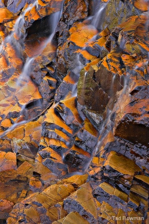 Photo Contest 1st Place Prize Winner