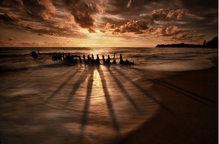 Photo Contest 1st Place Prize Winner