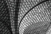 November 2016 Photo Contest 2nd Place Prize Winner