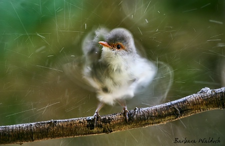 Photo Contest 1st Place Prize Winner