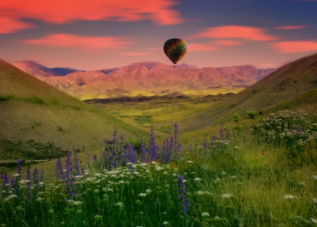 Photo Contest 1st Place Prize Winner