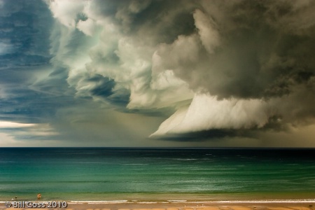 Photo Contest 1st Place Prize Winner