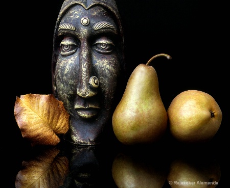 Photo Contest 1st Place Prize Winner
