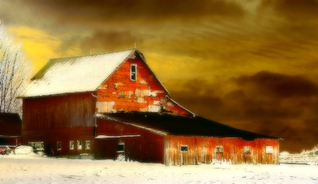 Photo Contest 1st Place Prize Winner