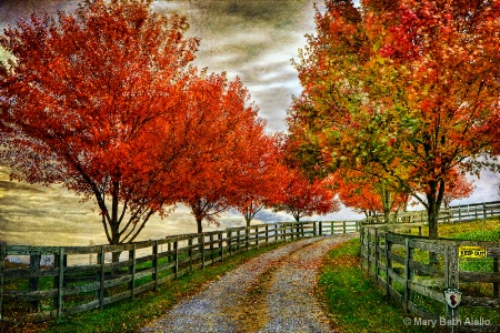 Photo Contest 1st Place Prize Winner