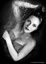 April 2010 Photo Contest 2nd Place Prize Winner