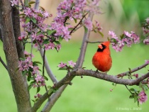 April 2010 Photo Contest 2nd Place Prize Winner