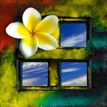 May 2010 Photo Contest 2nd Place Prize Winner