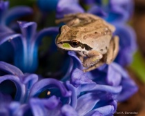 April 2010 Photo Contest 2nd Place Prize Winner